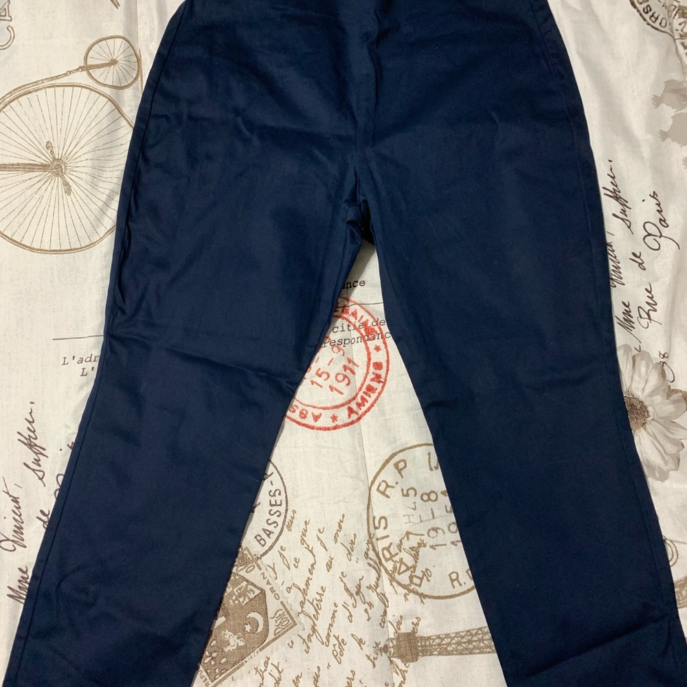 Dress pants